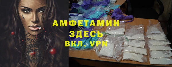 твердый Протвино