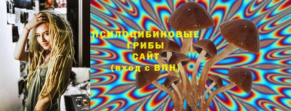 соль ск Заволжье