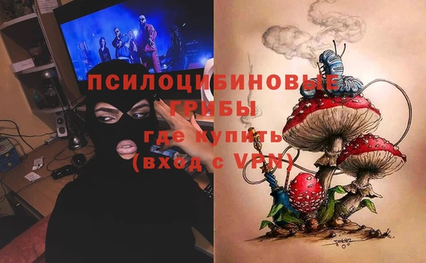 синтетический гашиш Пролетарск