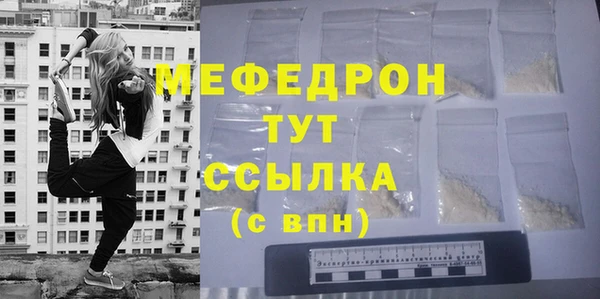 твердый Протвино